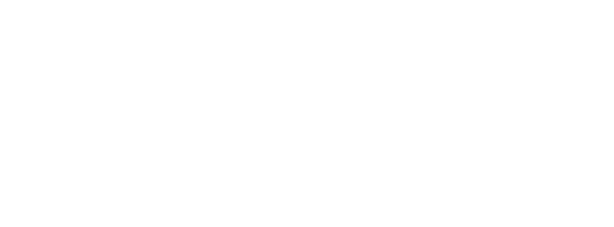 Hollow Knight